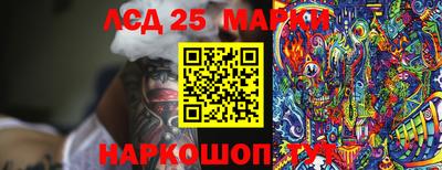 гидропоника Краснодар