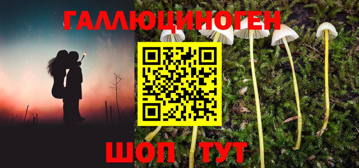 Галлюциногенные грибы MAGIC MUSHROOMS Кострома