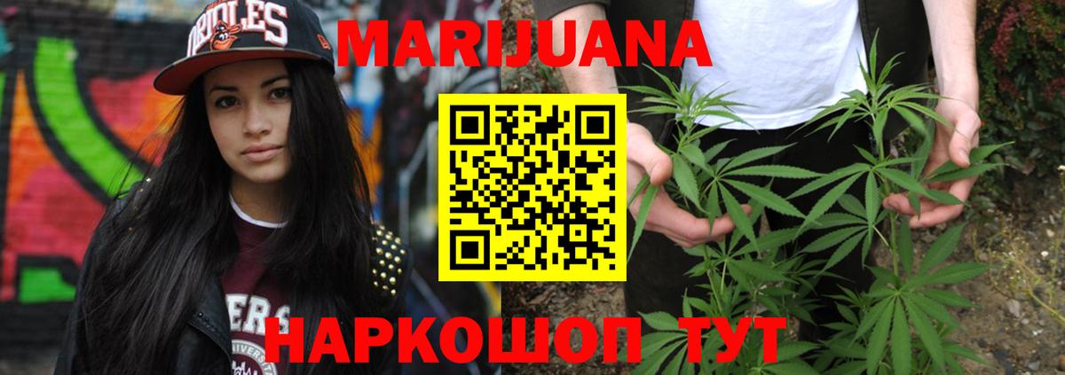 Бошки Шишки план Кострома
